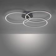 Ivanka LED-loftlampe, 3 ringe, sort