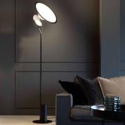 Axolight Cut designer LED-gulvlampe