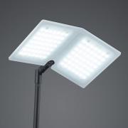 BANKAMP Book LED-gulvlampe, sort