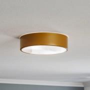 Cleo 300 loftlampe, IP54, Ø 30 cm, guld