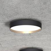 LOOM DESIGN LED-loftlampe Lucia sort/guldfarvet Ø 35 cm