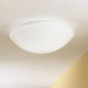 PANDORA loftlampe eller væglampe 36 cm