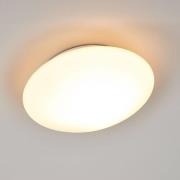 Alba loftlampe af opalglas, Ø 25 cm