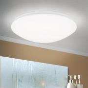 LED-loftslampe Nedo buet, Ø 33 cm