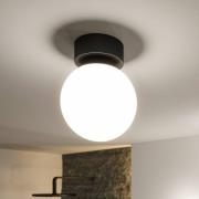 Paulmann Gove LED-loftslampe, sort, IP44