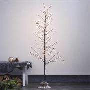 LED-dekorationstræ Tobby Tree IP44 brun højde 150 cm