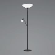 BANKAMP Opera LED-uplight, læselampe, sort