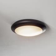 Umberta LED-loftlampe med sensort, sort, CCT