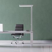 LED-bordlampe MAULjaval, hvid, 120 cm, dæmpbar, klemmefod