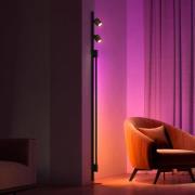 Philips Hue Perifo 2x Spots, Gradient Tube sort