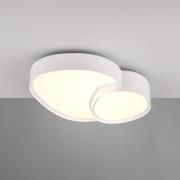 LED-loftslampe Rise, hvid, 43 x 36 cm, CCT, dæmpbar