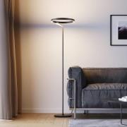 Molto Luce LED-gulvlampe Melli F, sort, aluminium, højde 168 cm