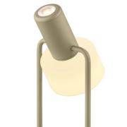 Banji LED-bordlampe, sandfarvet, højde 37 cm, touchdæmper