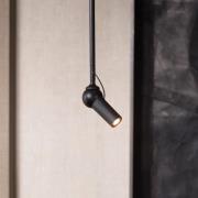 Kundalini LED-loftlampe Bird, sort, forlængbar