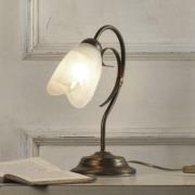Bordlampe Odino, 1 lyskilde, bronzefarvet, metal, glas