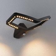 Paulmann Smart væglampe Alara, RGBW antracit IP44