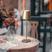 LED-bordlampe med batteri Viletto, kaffebrun, IP54