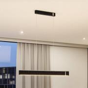 Paulmann Smart LED-hængelampe Jagun, antracit, 100 cm, filt