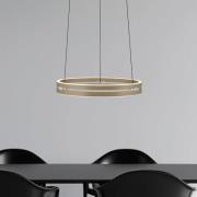 PURE LED-hængelampe E-Loop, bronze, Ø 50 cm, aluminium CCT
