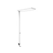 LED-klemmelampe MAULjura, hvid, aluminium, dæmpbar, 100 cm