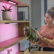 OSRAM LED-underskabsbelysning Linear Edge Sensor RGBW 30 cm sort