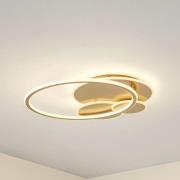 Lucande LED-loftslampe Circulo, guld, 60 cm CCT, dæmpbar