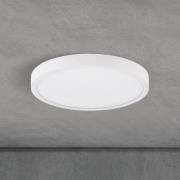 LED-loftlampe Disc, hvid Ø 24 cm, CCT, metal/plast