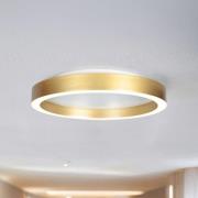 LED-loftlampe Ringlux guldfarvet, Ø 30 cm, metal, 2.700 K