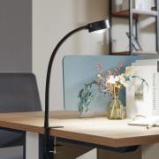 Lindby skrueklemme-lampe Jyla, sort mat, GX53, fleksibel arm