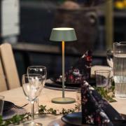 LED-batteridrevet bordlampe Menton, grøn, højde 27 cm, IP54, USB