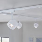Paulmann URail LED-spot Pane, signalhvid, 4000K, dæmpbar