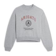 Universitets-sweatshirt