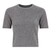 Grå Striktrøje Crewneck Ribbet Finish