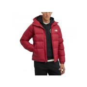 Hydrenalite Hoodie i Bordeaux Farve