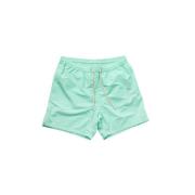 Basic Embro Swimshorts