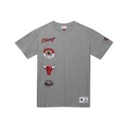 Chicago Bulls City Collection Tee