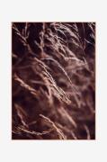 Malerifabrikken - Billede Spec. Mellow grasses 7 - Rød - Billeder - - ...