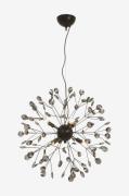 Aneta Lighting - Loftlampe Viva - Sort - Loftpendler - - Homeroom