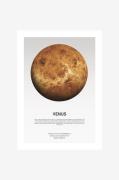 Malerifabrikken - Poster Venus Light - Hvid - Posters - - Homeroom