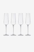 Champagneglas 4-pak Mischa