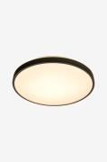 Aneta Lighting - Plafond LED Anillo - Sort - Plafonder - - Homeroom