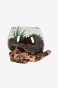 House Nordic - Vase San Marino - Natur - Urtepotteskjulere & vaser - -...