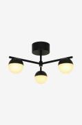 Nordlux - Loftslampe Contina - Sort - Spotlights - - Homeroom