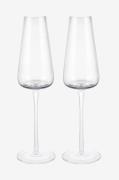 Blomus - Belo Champagneglas 20 cl 2-pak Klar - Transparent - Vinglas -...