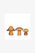 Wikholm Form - Svamp 3/S Honung - Orange - Pynteting - - Homeroom