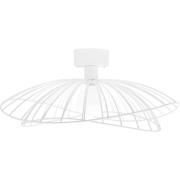 Globen Lighting Ray Plafond, hvid