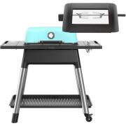 Everdure Force gasgrill + rottiseri mat mint