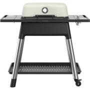 Everdure Gasgrill E2G2S Force, mat stone