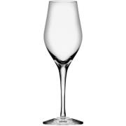 Orrefors Sense Champagneglas 25,5cl 6-pak