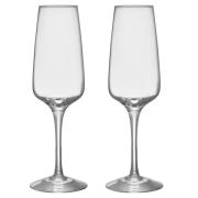 Orrefors Pulse champagneglas 28 cl, 2-pack